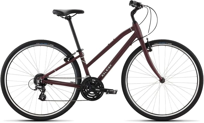 Raleigh Bikes Detour 2 XS