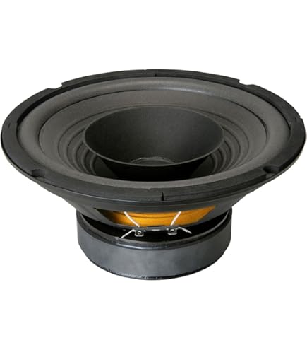 Amazon.com: Visaton BG20-8 8