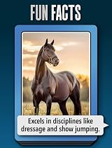 Smart Cards Smart Cards Horse & Pony Card Game 7 Games Travel Pack view 5
