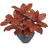 Briful Artificial Magnolia Leaves Stems 3 Pack 22in Orange Fake Magnolia Branches for Vase Fall Leaves Stems for Home Room Arrangements Centerpieces Thanksgiving Décor (Vase Not Included)