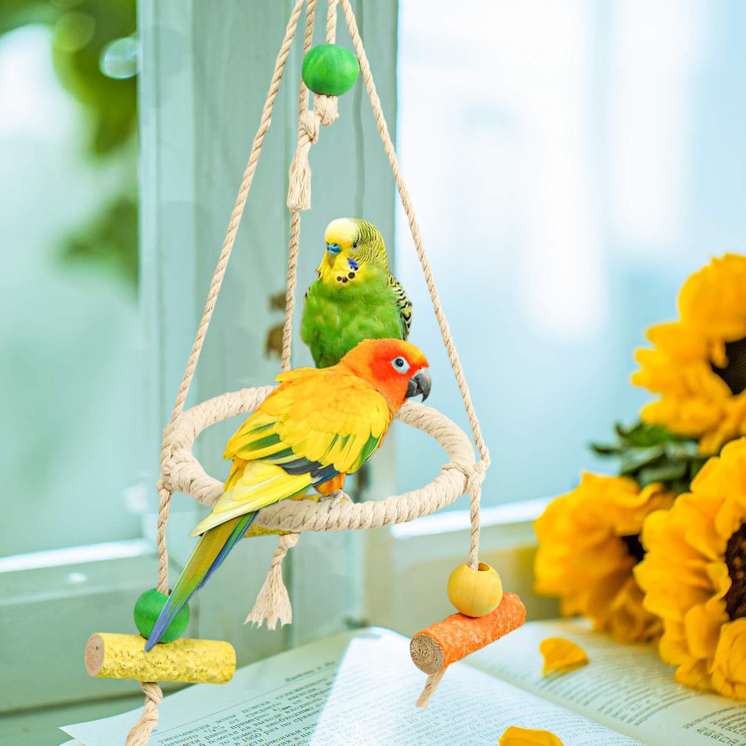 Bird Perch Stand Parrot Rope Swing Hanging Toy, Circle Ring Parakeet Perch Swing Toys&Bird Platform Parrot Stand Playground for Budgie Conure Finches Lovebird Cockatiel Cockatoo Exercise Toys (H01) : Pet Supplies