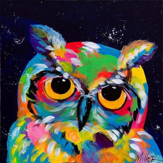 WSND 5D DIY Diamond Painting Kit für Erwachsene Diamond