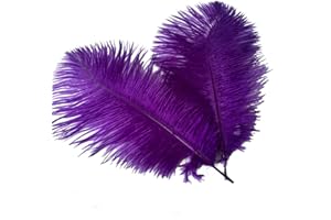 Sowder 6-8inch(15-20cm) Ostrich Feathers Plume for Wedding Centerpieces Home Decoration Pack of 10pcs(Purple)