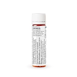 Cactus Grandiflorus 6C Homeopathic Remedy, 200