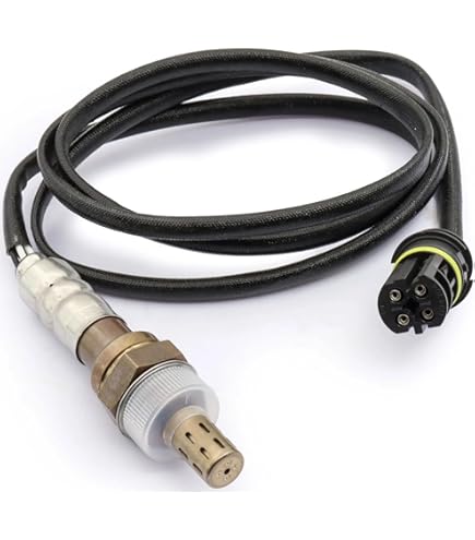 Amazon.com: Walker Products 250-24810 4-Wire Oxygen Sensor