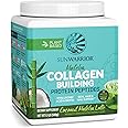 Sunwarrior Vegan Collagen Building Peptides Plant-Based Protein Powder with Silica & Biotin for Hair Skin Nail Support Silicon Non-GMO Dairy Sugar Free Low Carb Coconut Matcha Latte 20 Servings