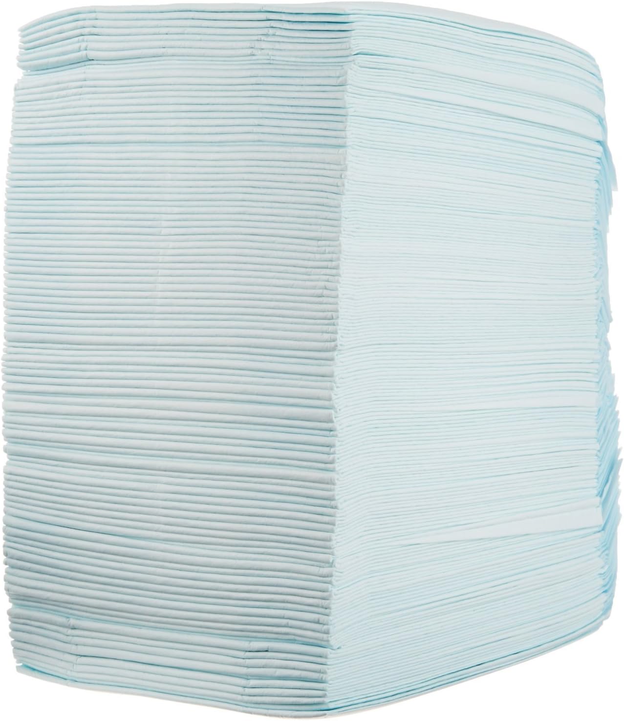 Basics Dog and Puppy Potty Training Pads, Regular (22 x 22 Inches) - Pack of 100 : Pet Supplies