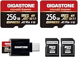 Gigastone 256GB microSD Express Dual Pack SD Adapter USB-C Reader view 1