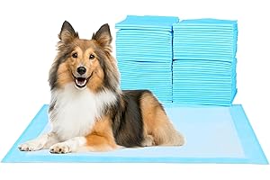 FLUFFYDREAM Super-Absorbent Waterproof Dog and Puppy Pet Training Pad, Housebreaking Pet Pad,Blue (23.6"x23.6" （100PCS）)