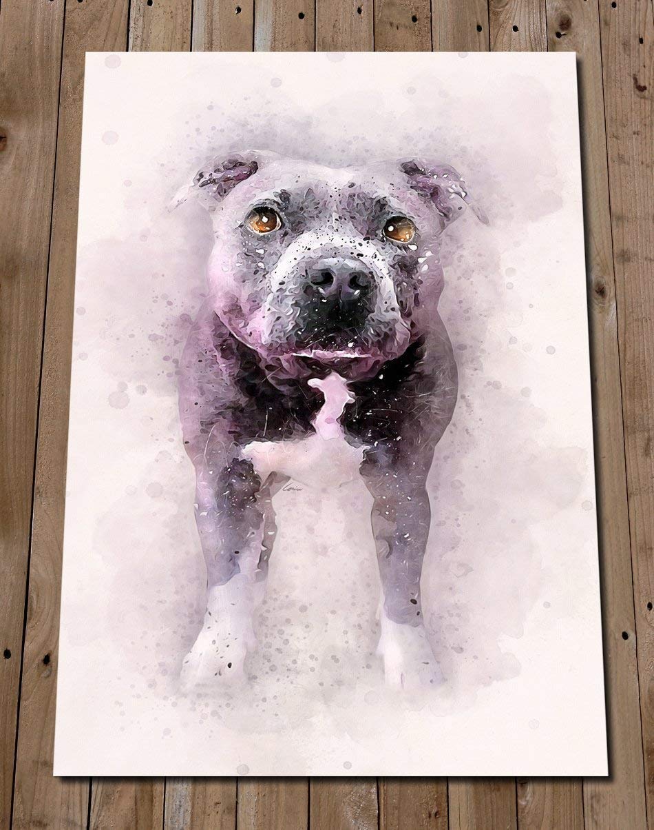 Blue Staffordshire Bull Terrier Art Prin Buy Online In Kuwait At Desertcart
