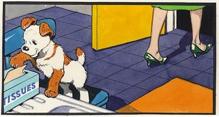 paddy paws the puppy