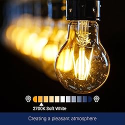 FLSNT 60W Equivalent Dimmable A19 LED Light