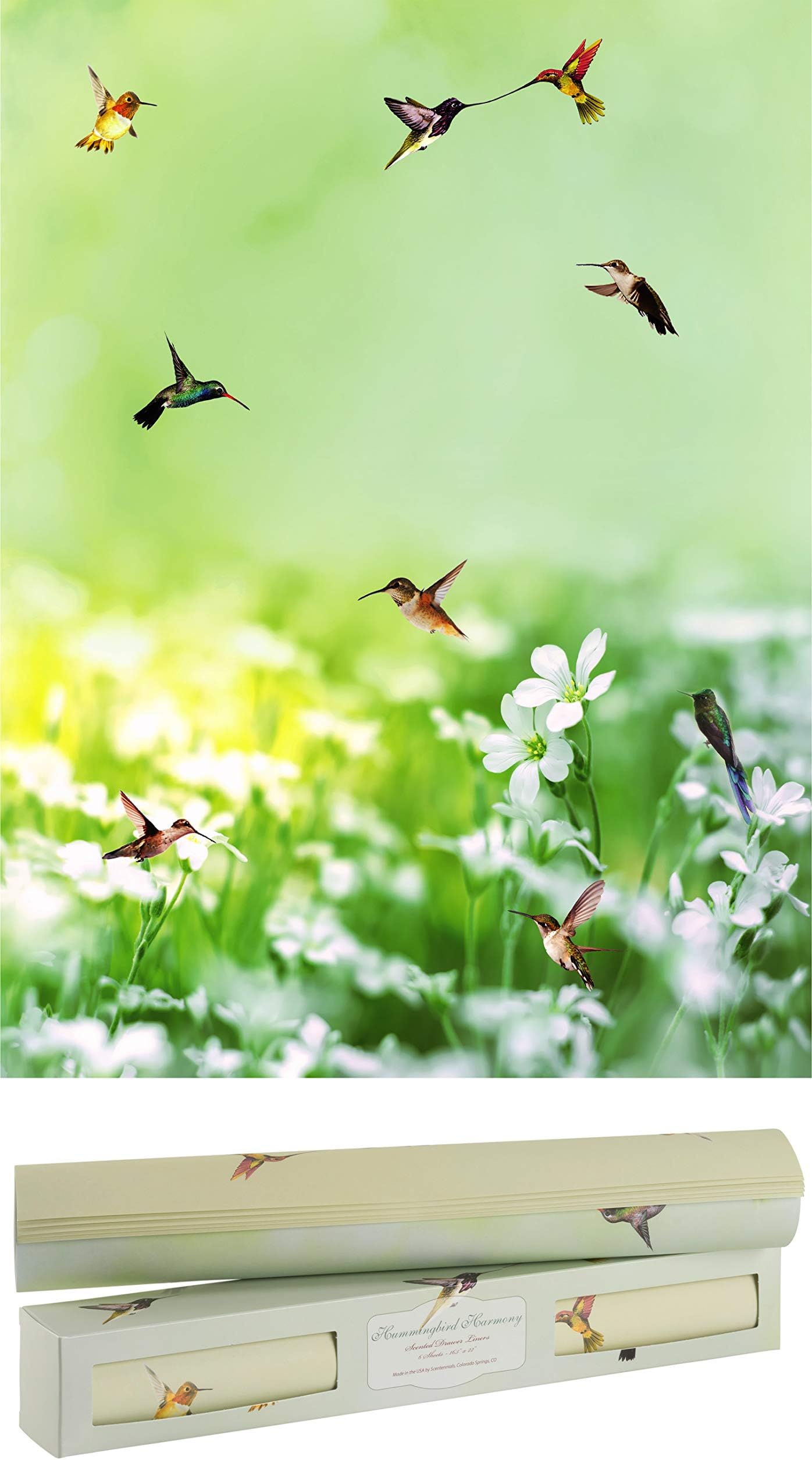 Scentennials Scented Drawer and Shelf Liners - Hummingbirds Print - Twelve (12) Large 16.5 x 22 Inch Non-Adhesive Sheets - Perfect for Closet Shelves and Dresser Drawers (Hummingbird Harmony)