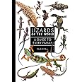 Lizards of the World: A Guide to Every Family