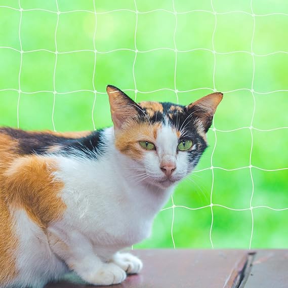 Filet De Protection Pour Balcon Transparent Avec Corde De Fixation Et Serre Cables Toozey Filet De Protection Pour Chat Balcon Et Fenetre 8 X 3 M Jardinage Jardin Filet De Protection Pour Balcon Transparent Avec Corde De Fixation Et Serre Cables Toozey Filet De Protection Pour Chat Balcon Et Fenetre 8 X 3 M Jardinage Jardin