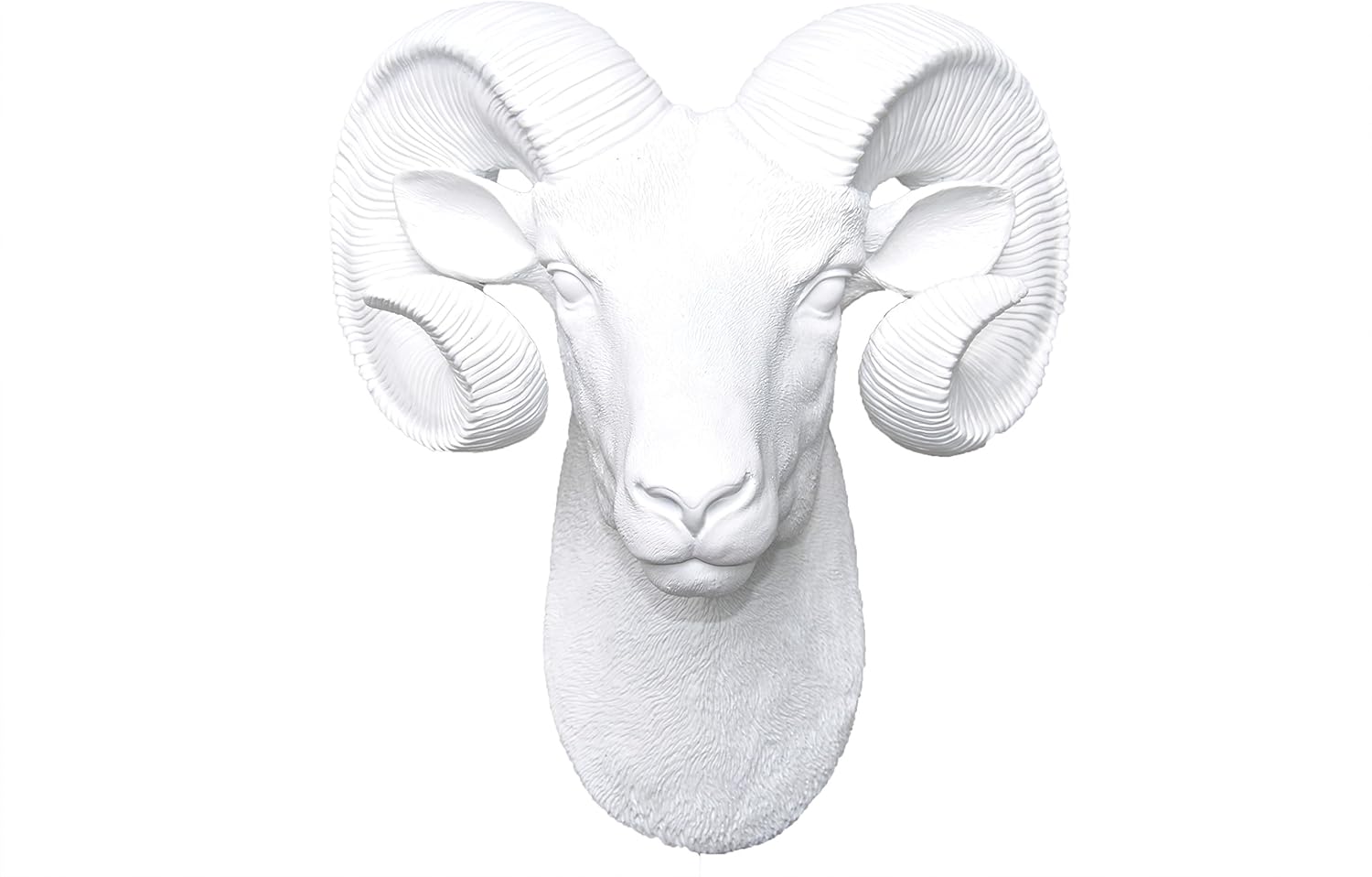 Amazon Com Near And Deer R0101 Faux Taxidermy Ram Head Wall Mount White Home Kitchen