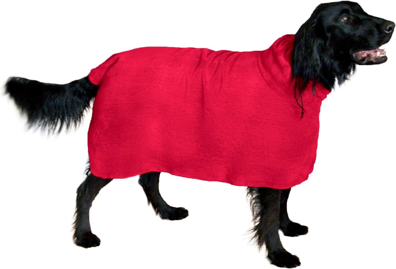 dog robe towel