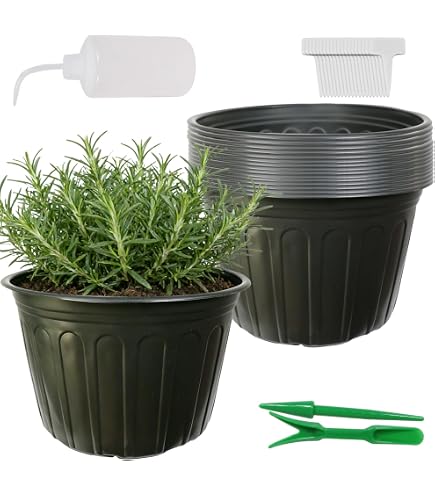 self watering system for indoor plants Grey / US DI-Smart Automatic Watering System