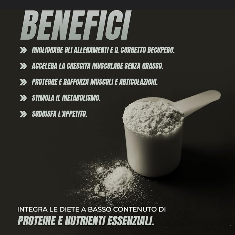 Whey Protein | Proteina Whey pura con Collagene e Magnesio | Migliora i tuoi allenamenti | Protegge e aumenta la massa muscolare | 1000g di proteina (Vaniglia)