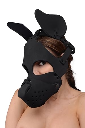 Résultat de recherche d'images pour "petplay girl mask"