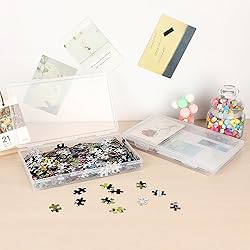 BTSKY Clear Plastic Storage Box with Flap