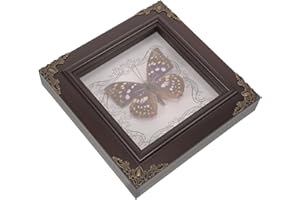 HAKIDZEL Butterfly Decor Frame Framed Specimen for Retro Style Wall Art and Living Room Decoration