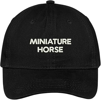 miniature baseball hats