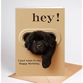 Funny Newfoundland Birthday Card - Hey! I Just Want To Say Happy Birthday - Cute Dog Greeting Card For Dog Lovers- Men- Women And Kids - Humorous And Adorable Gifts Card Ideal