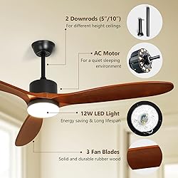 Depuley 60" Ceiling Fan with Light,Indoor Outdoor