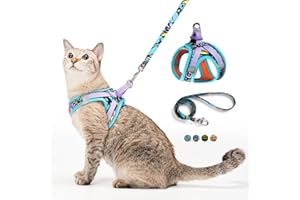 PETTHEM Cat Harness and Leash Set, Step-in Escape Proof Adjustable Vest Harness for Small Medium Large Cats, Lightweight Soft Breathable Reflective Kitten Harness for Walking Travel, Camping(Blue, S)