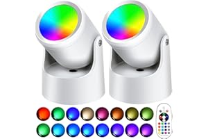 TONGUE FEAST LED Spot Lights Indoor,RGBW Up Lights Indoor with Remote Control, 6W 16 Color Changing Uplighting Indoor Spotlights,for Painting Artwork US 2 Plug 6 FT Power Cord(2Pack)