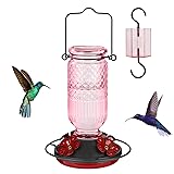FEED GARDEN Glass Hummingbird Feeders for