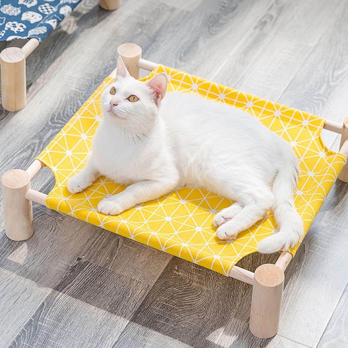 plmm Summer Small Dogs Raised Detachable Elevated Breathable Pet House Hammock Cat Bed Cat Sofa Machine Washable(H): Home & Kitchen