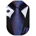 Hi-Tie Silk Paisley Ties for Men Necktie Pocket Square Cufflinks Set Foral Tie Sets Formal Business