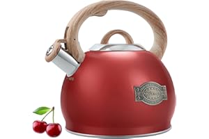 HAUCE RADIO Tea Kettle Stovetops, 2.7 Quart Food Grade Stainless Steel Water kettles for Stove Top Teatop with Anti-hot Ergonomic Handle,Suitable for All Heat Sources