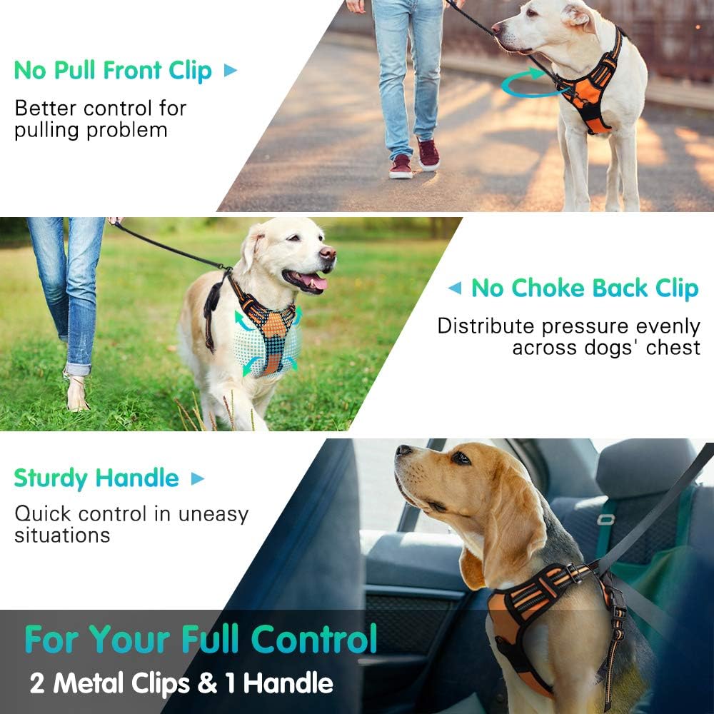 Eagloo Dog Harness No Pull, Walking Pet Harness with 2 Metal Rings and Handle Adjustable Reflective Breathable Oxford Soft Vest Easy Control Front Clip Harness Outdoor for Large Dogs Orange : Pet Supplies