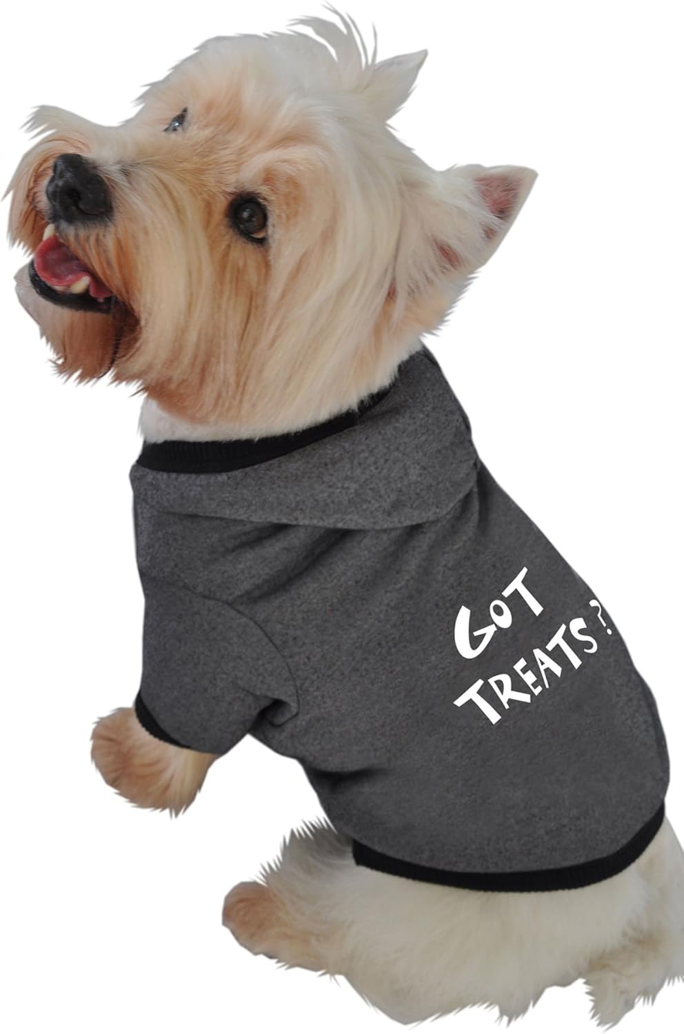 ExtraSmall Got Treats? Black Ruff Ruff and Meow Dog Hoodie Pet