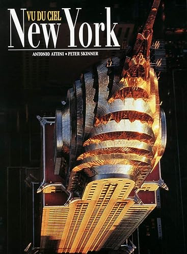 Download New York vu du ciel PDF