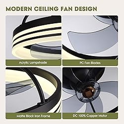 LUDOMIDE Ceiling Fans with Lights, 360° Rotating