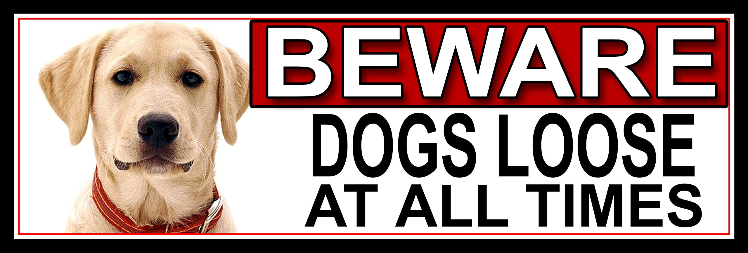 SHAWPRINT Yellow Labrador BEWARE DOGS LOOSE AT ALL TIMES METAL GATE SIGN 266mm x 87m. (419H2)