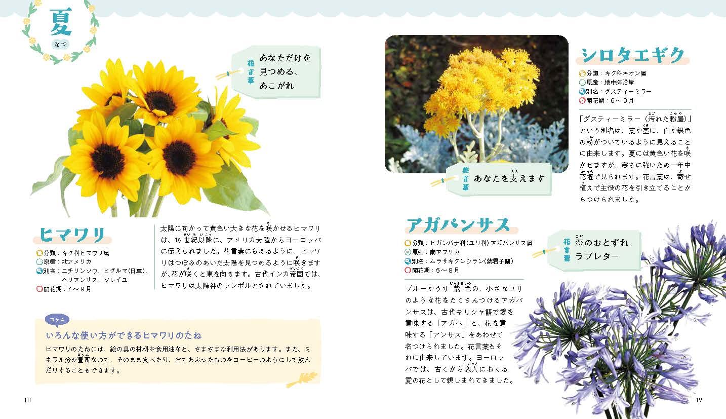 恋と友情の花言葉 知りたい おぼえたい 季節をめぐる花言葉 川崎景介 本 通販 Amazon 恋と友情の花言葉 知りたい おぼえたい 季節をめぐる花言葉 川崎景介 本 通販 Amazon