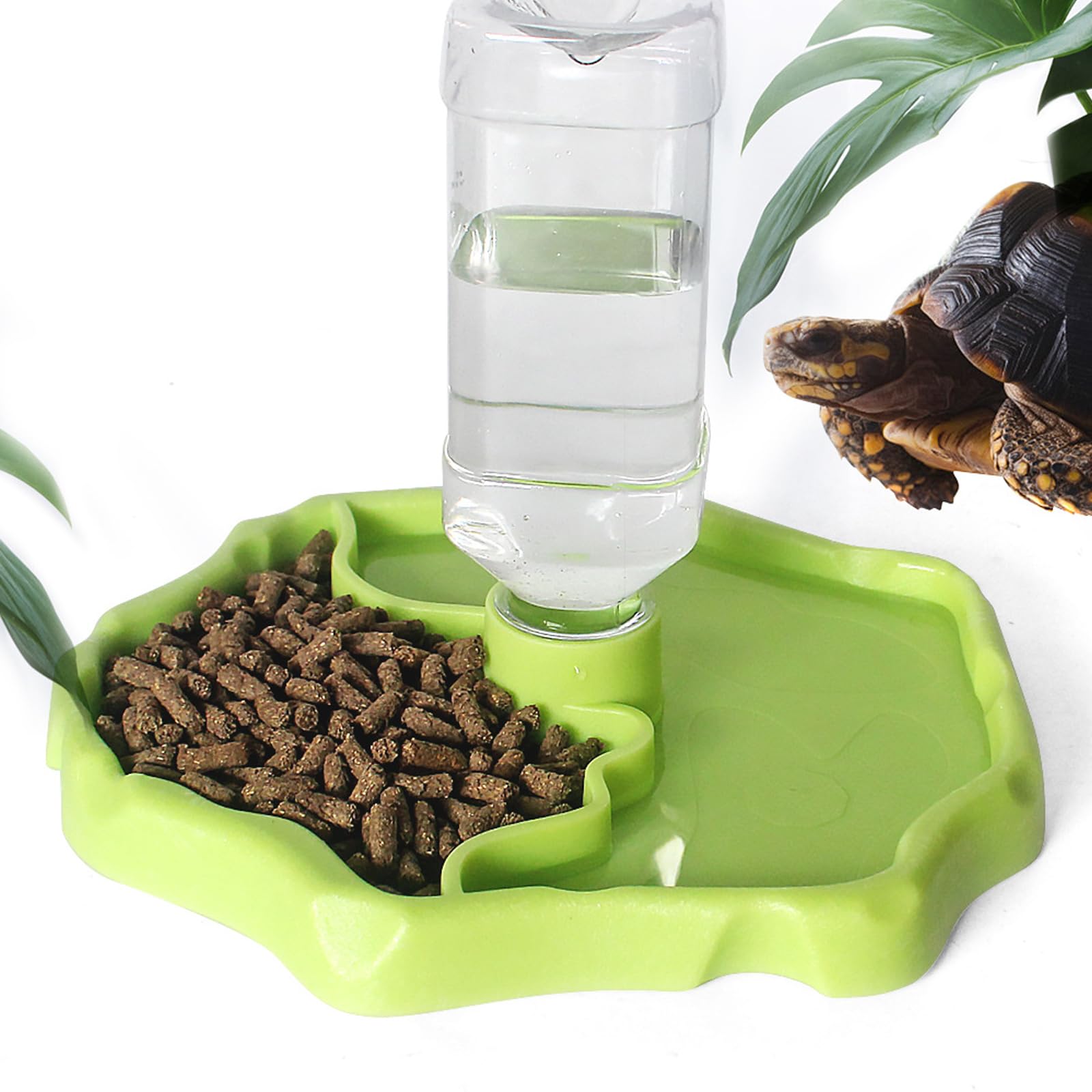 Turtle Water Bowl Set Feeding Bowl Turtles Reptiles Feeding 2 in 1 Reptiles Automated Feeder Plastic Drinking Bowl Lizard for Snake, Turtle, Gecko, Land Turtle