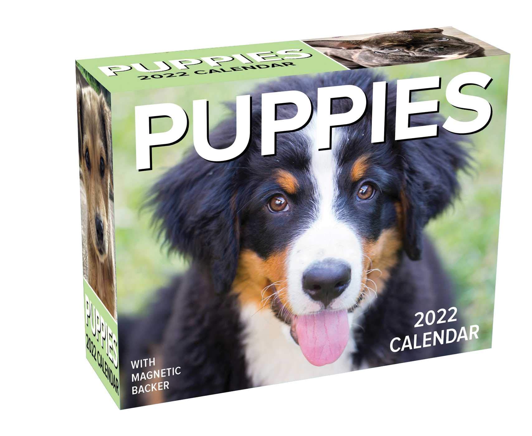 2022 Puppy Calendar Puppies 2022 Mini Day-To-Day Calendar: Andrews Mcmeel Publishing:  9781524864958: Amazon.com: Books