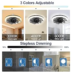 ATDOALL Ceiling Fans with Lights and Remote, 12in