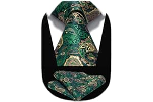 HISDERN Ties for Men Paisley Tie and Pocket Square Woven Classic Floral Mens Ties Handkerchief Set Wedding Party Necktie
