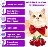 GMOLARSUSCO Cat Multivitamin Drops 15 in 1 Glucosamine Cranberry Immune Support view 3
