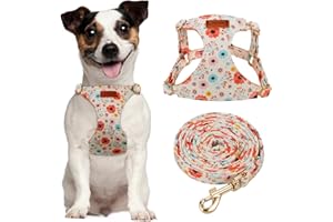 CHEDE No Pull Floral Pattern Dog Harness- Lightweight and Soft Dog Harness, Adjustable Small Dog Harness and Leash Set, with Dog Leash, Suitable for Puppy Small and Medium-Sized Dog