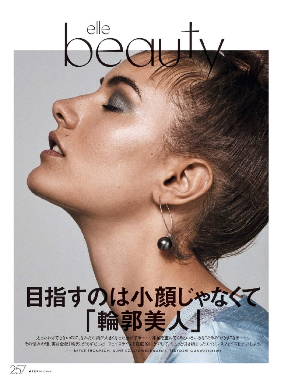 Elle Japon November 19 Issue Special Edition With A Stylish Card Case Magazine Supplement Fg Mook Japanese Magazine Amazon Com Books
