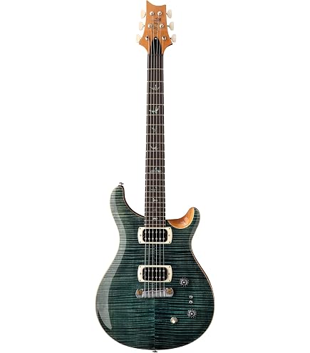 Amazon.com: PRS Paul Reed Smith 6 String SE Standard 24