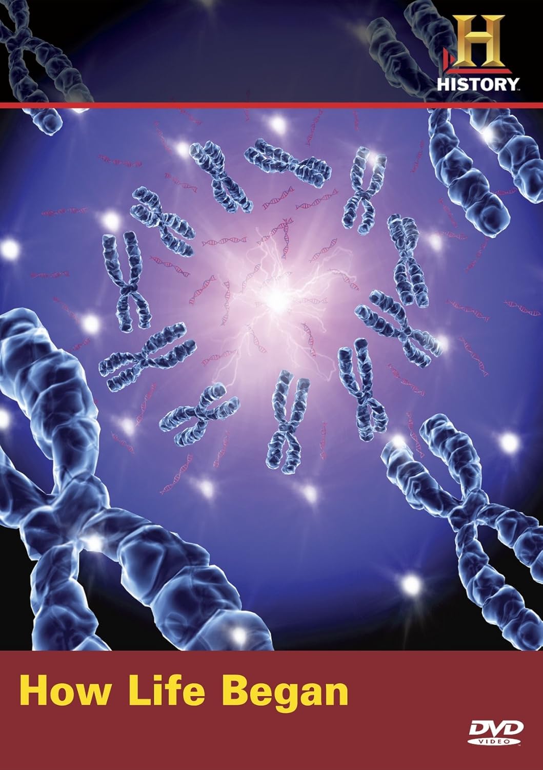 How Life Began How Life Began Movies & TV